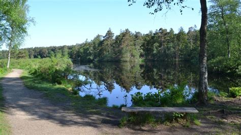 vejlbo mose|Vejlbo Mose – Vejlsø loop from Høje Kejlstrup 